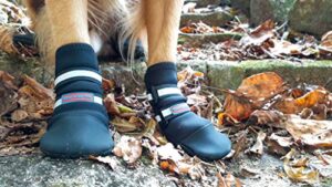 bark brite all weather neoprene paw protector dog boots in 5 sizes! (xl (4.0 in.)) travel zipper case included!