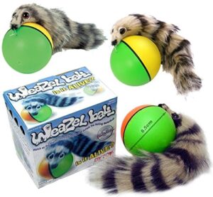 d.y.toy weazel ball 3 pack battery operated toy for kids, adults, dogs or cats