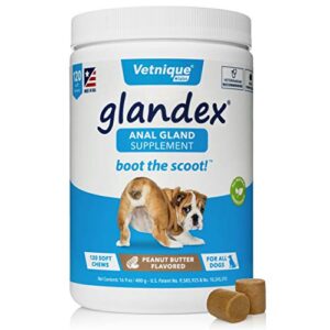 glandex anal gland soft chew treats with pumpkin for dogs 120ct chews with digestive enzymes, probiotics fiber supplement for dogs – vet recommended boot the scoot (peanut butter) by vetnique labs