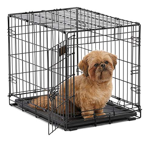 midwest i crate 1524 24 inch folding metal dog crate w/ divider panel, small dog breed, black