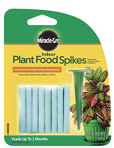 miracle gro indoor plant food spikes, includes 24 spikes continuous feeding for all flowering and foliage houseplants npk 6 12 6