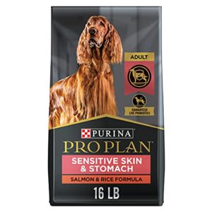 purina pro plan sensitive skin and stomach dog food with probiotics for dogs, salmon & rice formula 16 lb. bag