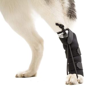 walkin' rear no knuckling training sock | helps dogs pick up their feet when knuckling under or dragging their rear paws
