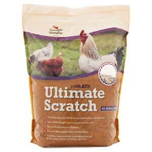 manna pro 7 grain ultimate chicken scratch | scratch grain treat for chickens and other birds | non gmo natural ingredients | 10 pounds