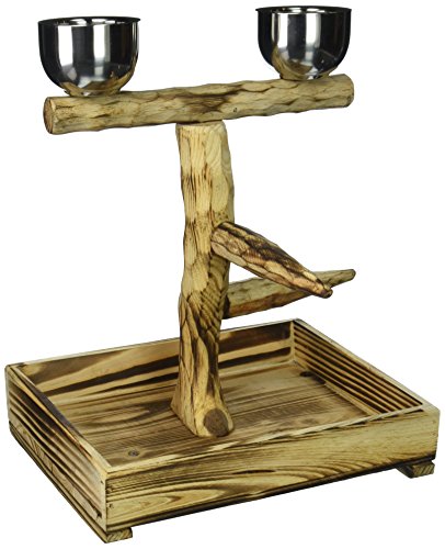 penn plax bird perch with 2 stainless steel feeding cups and wood drop tray (10.5" x 8.9" x 11.75")
