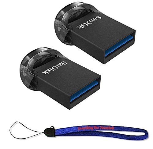 sandisk 64gb ultra fit usb 3.1 low profile flash drive (2 pack bundle) sdcz430 064g g46 pen drive with (1) everything but stromboli (tm) lanyard